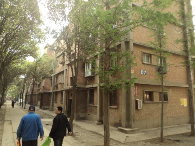 洛陽市瀍河區(qū)大慶路(楊文)巨龍集團家屬區(qū)征收項目